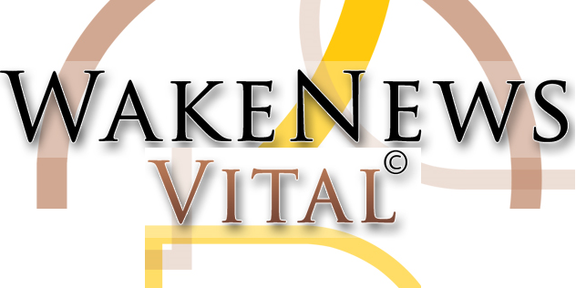 Wake News Vital Avatar